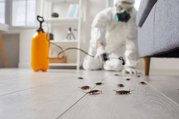Commercial Kitchen Cockroach Control in Tequesta